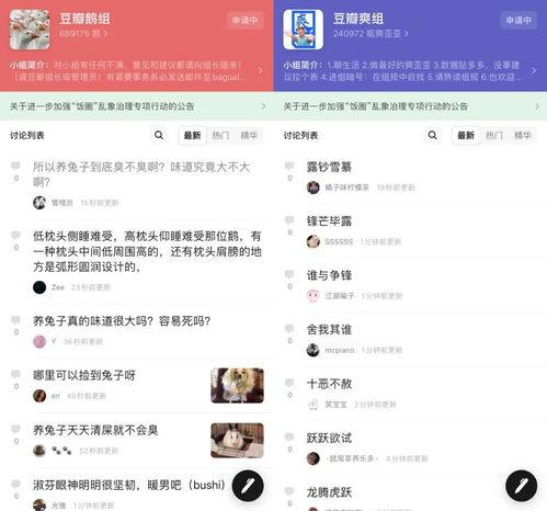 有哪些吃瓜的网站,一网打尽娱乐圈最新动态