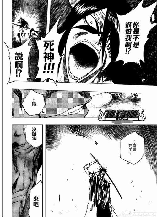 死神漫画十刃,命运之刃，守护者与破坏者的传奇对决